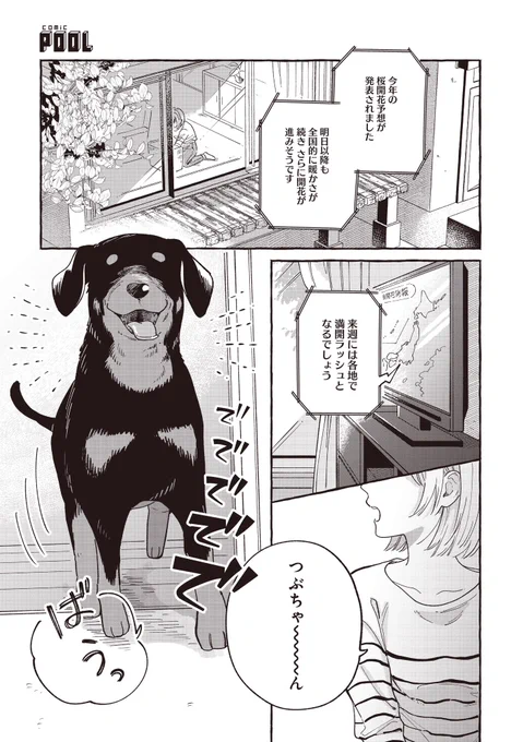 春が来るたび思い出す
ふたりの出会い(1/7) 