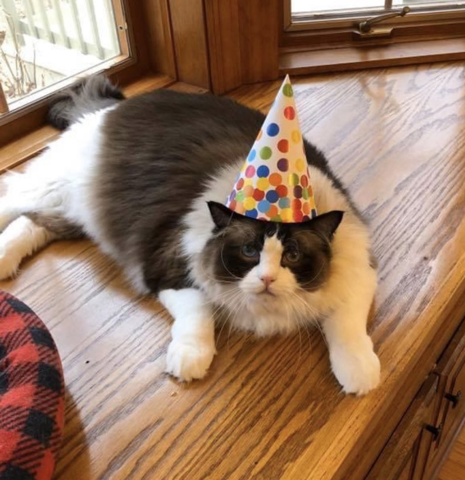 Happy 7th Birthday Simon-let’s see 7K ❤️ !🤠