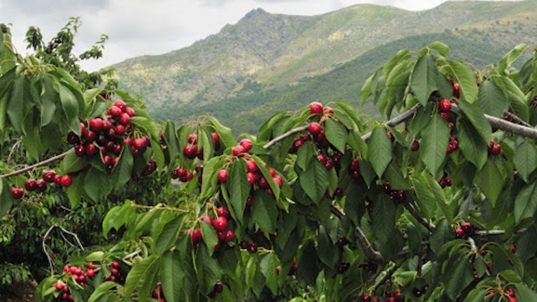 REVISTA F&H tweet media