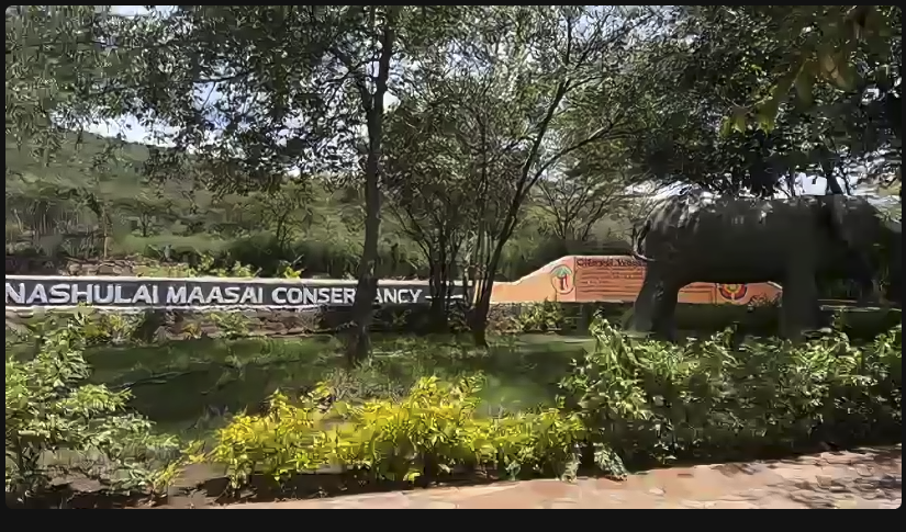 Dr Robert Phillips tweet media