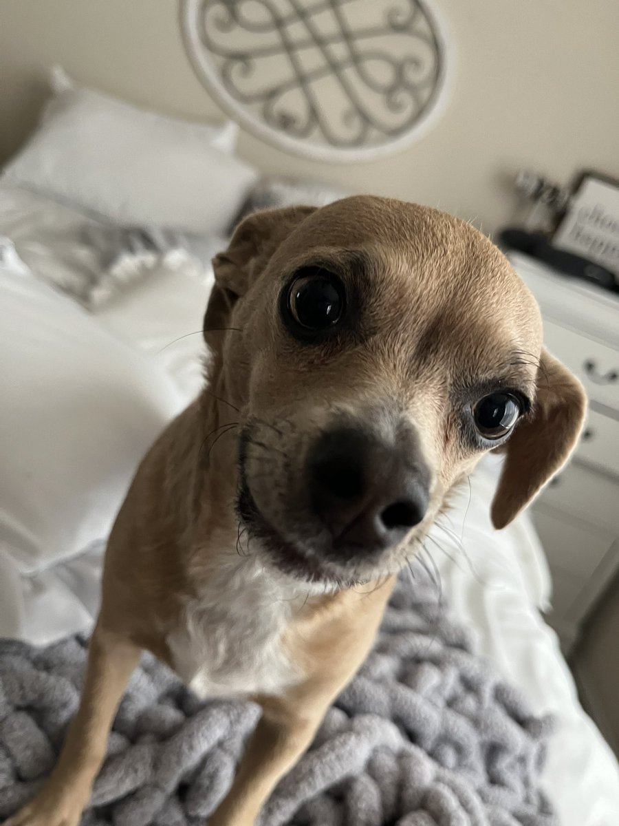 Sarahlemus's tweet image. TGIF I hope everyone has a wonderful day🖤