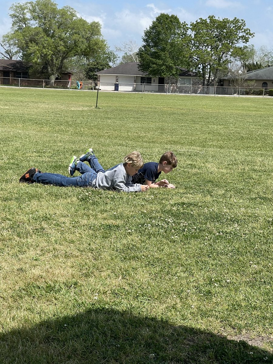 Mrs.Ebo’s Class tweet media