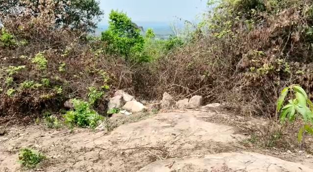 NEWS7Odia's tweet photo. -ଶିଖରଚଣ୍ଡୀ ପାହାଡ଼ରେ ହାତୀ ଆତଙ୍କ
-ରାତିରୁ ଭୋର ଯାଏଁ କଲେ ଉପଦ୍ରବ
-ଭୟଭିତରେ ସ୍ଥାନୀୟ ଲୋକ
#Bhubaneswar #sikharachandi #elephat #PrameyaNews7 https://t.co/6L2AuCUEFy