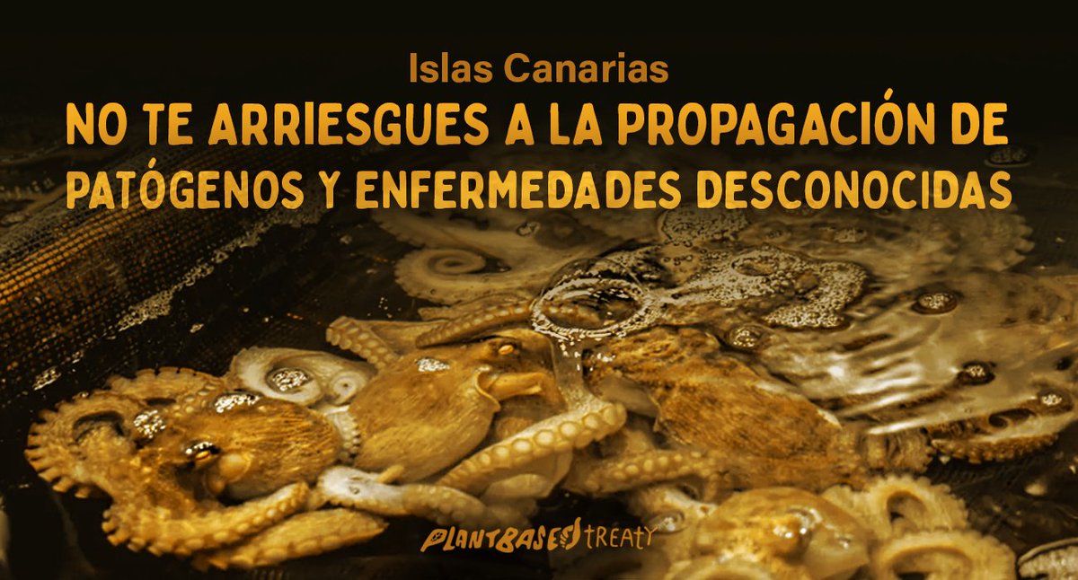 Toronto Chicken Save tweet media