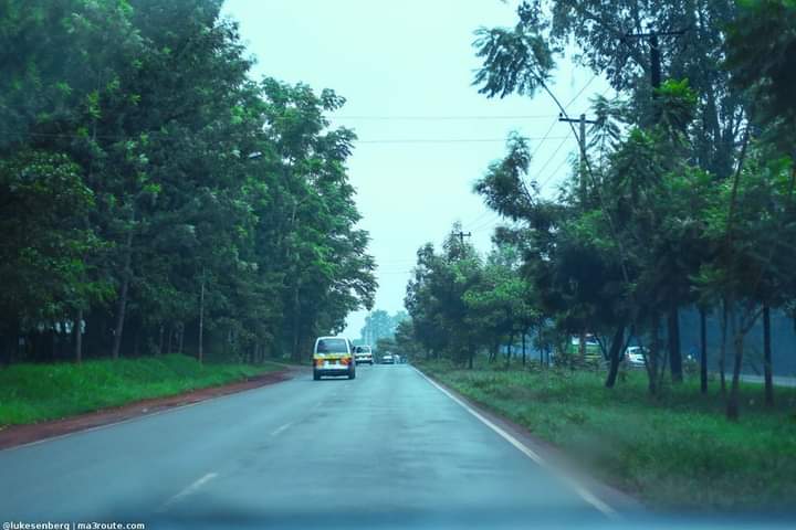 ngigimwangi tweet picture