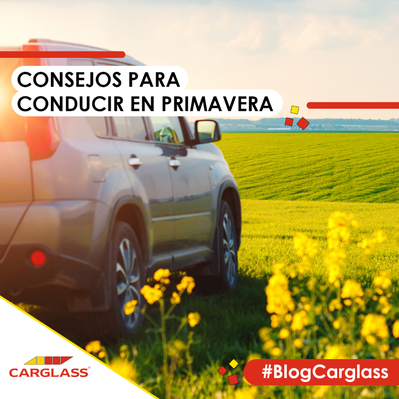CarglassEs's tweet photo. 🙈 🌺 Dicen que la primavera, la sangre altera, ¡y no es lo único! 💥 También altera muchos factores que afectan a la conducción. Aquí tienes unos consejos para ir más seguro al volante en esta época del año 👇 #BlogCarglass