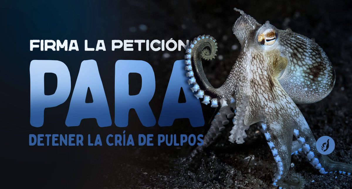 Toronto Chicken Save tweet media