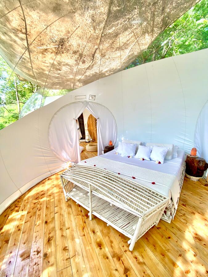 balutraveltd's tweet photo. ✍️Imperial Banda Suite
HB Ksh 27,000
FB Ksh 30,000
𝑬𝒙𝒑𝒍𝒐𝒓𝒆 𝙬𝙞𝙩𝙝 𝑩𝒂𝒍𝒖 𝑻𝒓𝒂𝒗𝒆𝒍 𝑳𝒕𝒅
☎️ +254708278380
#Magicalkenya #Watamu #rockandsearesort #honeymoon #bubblelodge #romantic #ocean #𝙅𝙖𝙡𝙖𝙨 𝙊𝙢𝙗𝙖𝙘𝙝𝙞 #BaluTravelDeals #tembeakenya #kilifi Mombasa https://t.co/fZ7uM0ug5b