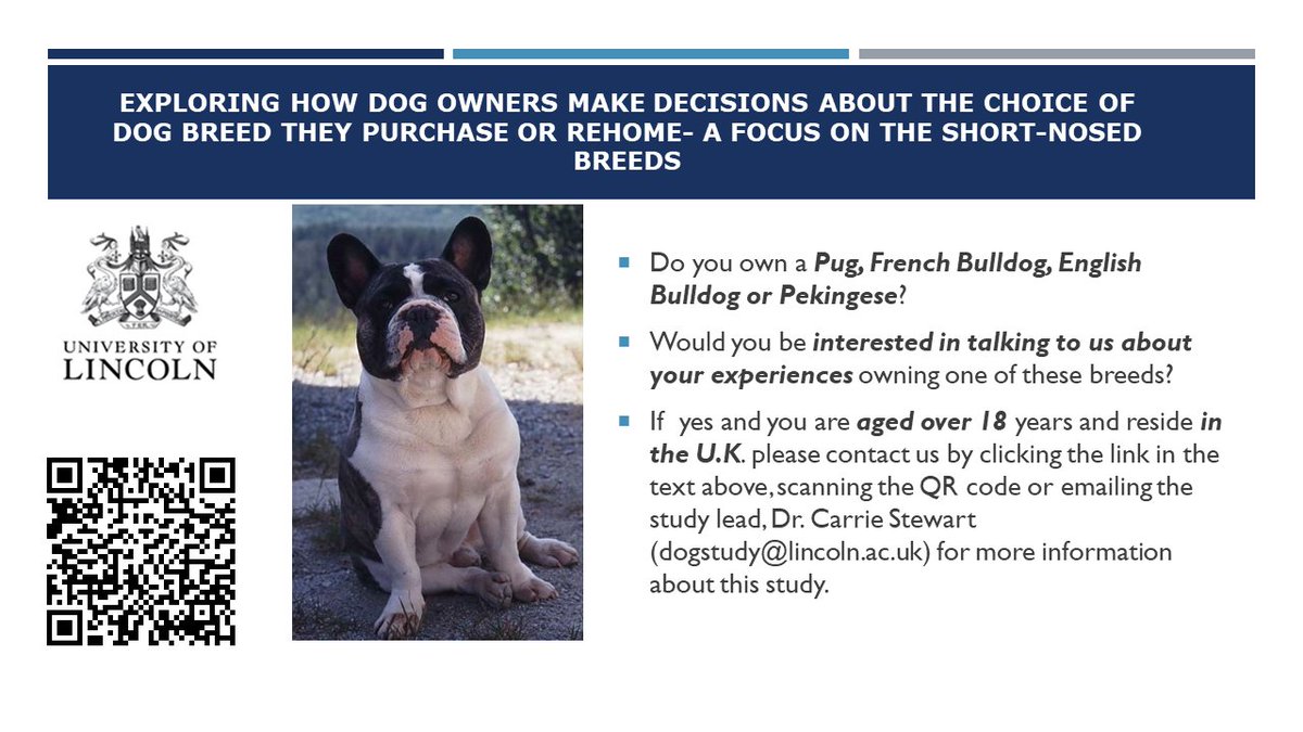 Research project exploring how dog owners make decisions about their choice of dog. See image for details. UoL Ethics Ref: 12660. unilincolnlifescienc.qualtrics.com/jfe/form/SV_8n… #frenchie #frenchbulldog #dogsoftwitter #pug #puglife #puglover #englishbulldog #bulldogs #bulldoglover #pekingese