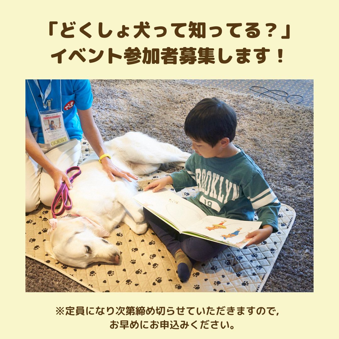 ChristelFNDTN's tweet photo. 【#どくしょ犬 イベント参加者 募集中！】

どくしょ犬って知ってる？における読書犬活動では、犬との正しい接し方を学習する時間を読み聞かせ前に設けていることが、特徴です。

現在 正しい接し方のアニメーションを作成中です！

詳しくは、こちらをご覧ください。
https://t.co/utNP6L7bHB https://t.co/iBvAFQAdwp