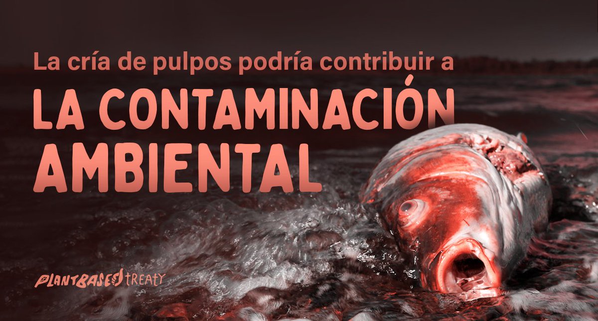 Toronto Chicken Save tweet media