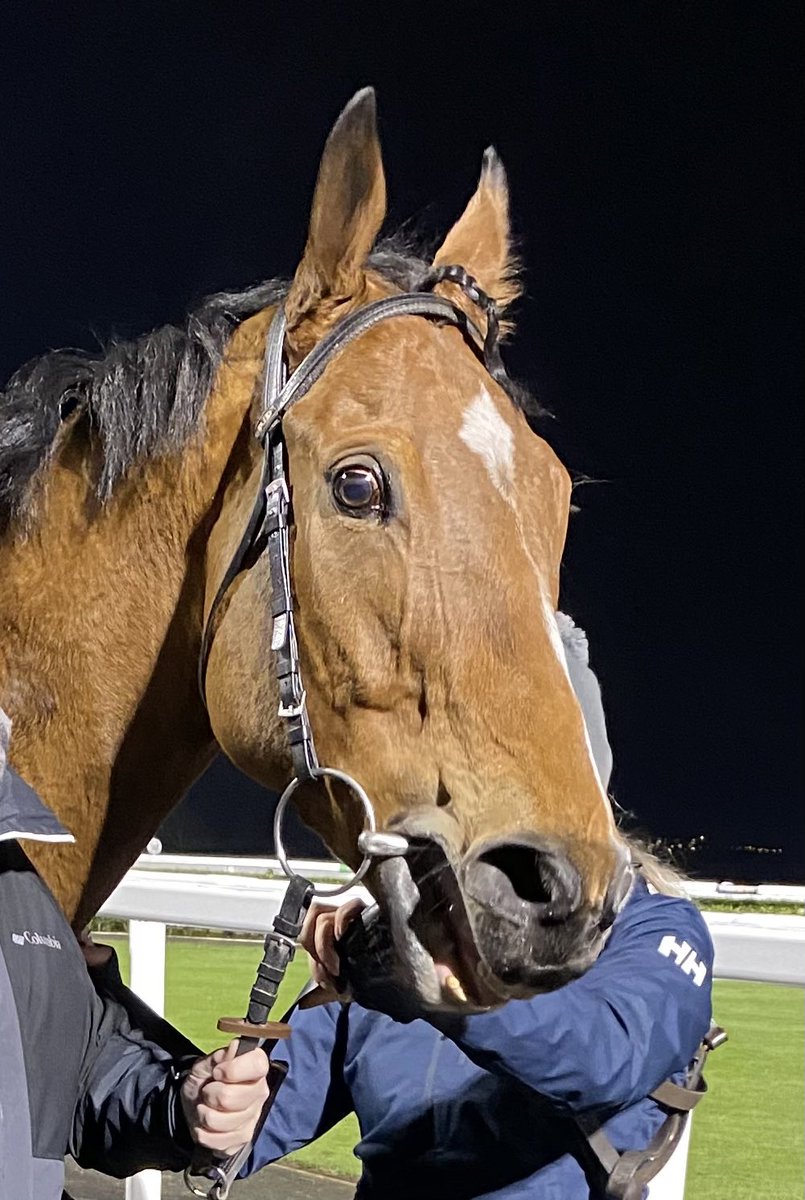 Paul Stewart (@paulstewart62) on Twitter photo Kraken Power returns to Newcastle tonight after a nice break, heβs ultra consistent & always gives his best π€π€ Itβs a tough race though, hopefully he can stay out of the inevitable trouble in running & land the prize. Best of luck to <a href="/PMulrennan/">Paul Mulrennan</a> who rides. Howay The Lads π€π€ Kraken Power returns to Newcastle tonight after a nice break, heβs ultra consistent & always gives his best π€π€ Itβs a tough race though, hopefully he can stay out of the inevitable trouble in running & land the prize. Best of luck to <a href="/PMulrennan/">Paul Mulrennan</a> who rides. Howay The Lads π€π€