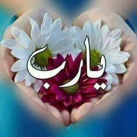 ➺🌸┊↷
#دعاء_اليوم 🌺🕊‌‌"اللهم فرحة تزيل الهُموم وتبكي العيون
وتمحو مامضى من غموم الحياة
اللهم ألهمني ابتسامة لا تغيب
وصبراً لاينفد وروحاً بِك متعلقةوحمداً لكَ لا ينقطِع
نستودعك يا الله أدعية فاضت بها القلوب فأستجب لنا يا كريم يا علام الغيوب وبشرَّنا بما يفرح القلوب✨❤️