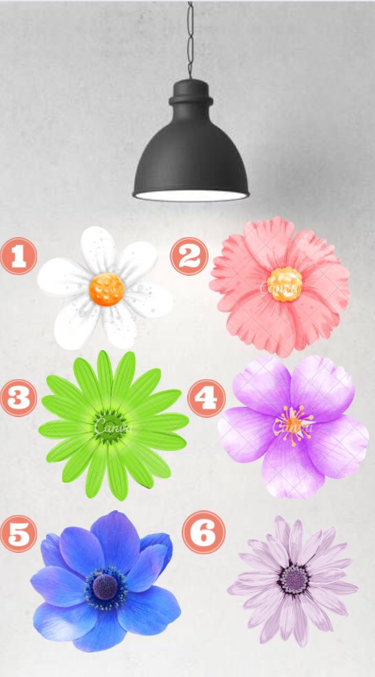 #Ramazanetkinlikleri 30/1 🌙✨🌸

Bir çiçek seç!