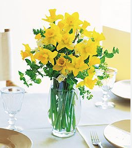 tulipstalk's tweet photo. March 22nd is National Goof-off Day and World Daffodil Day

As the first flower to bloom in Spring, Daffodils are a symbol of the fight against cancer. Plant some, or donate to cancer research and treatment funds. 
https://t.co/5YJA6Mv0QA https://t.co/sRFswn3iDX