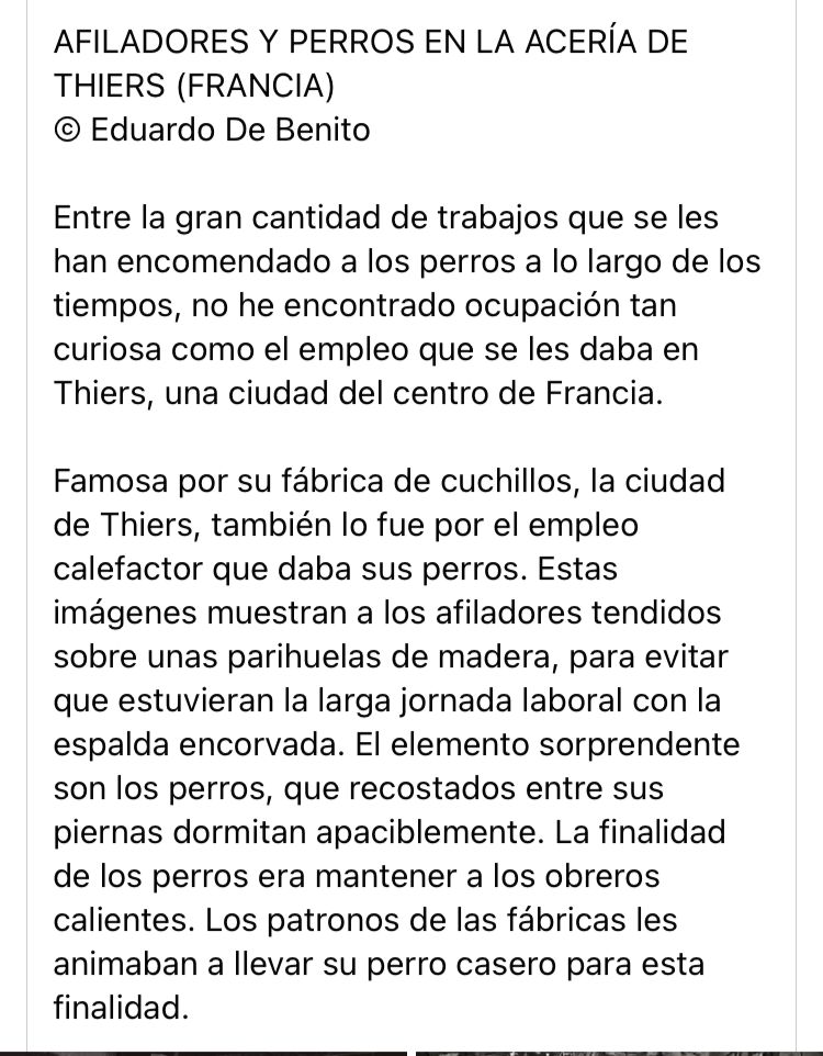 gallone_marcelo's tweet photo. Me pareció interesante el aporte que hace un amigo en un grupo de WhatsApp https://t.co/31WCZa15gP