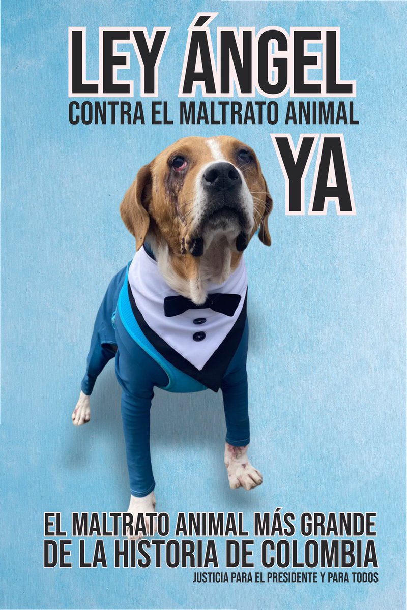 AsociacionMi's tweet photo. Atención ‼️ hoy votan en primer debate la Ley ÁNGEL en honor al presidente.

@andreanimalidad @fabioaminsaleme @PizarroMariaJo @ArielAnaliza @RoyBarreras @JorgeEBenedetti @GermanBlancoA @DeLaCalleHum @deluque @AlexLopezMaya @JGalloComunes @lunadavid @senadormotoa @JotaPeHernandez https://t.co/CBCp0akBAn