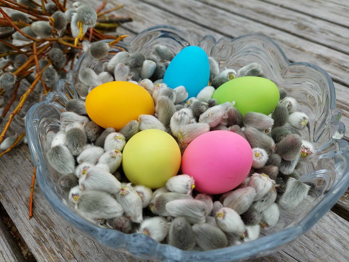 Dimzas's tweet image. Nākam klajā ar jaunumu - pūpoliņi 1 litra turziņā, lai var uzklāt Lieldienu olām mīkstas gultiņas! dimzas.com/product/pupoli…