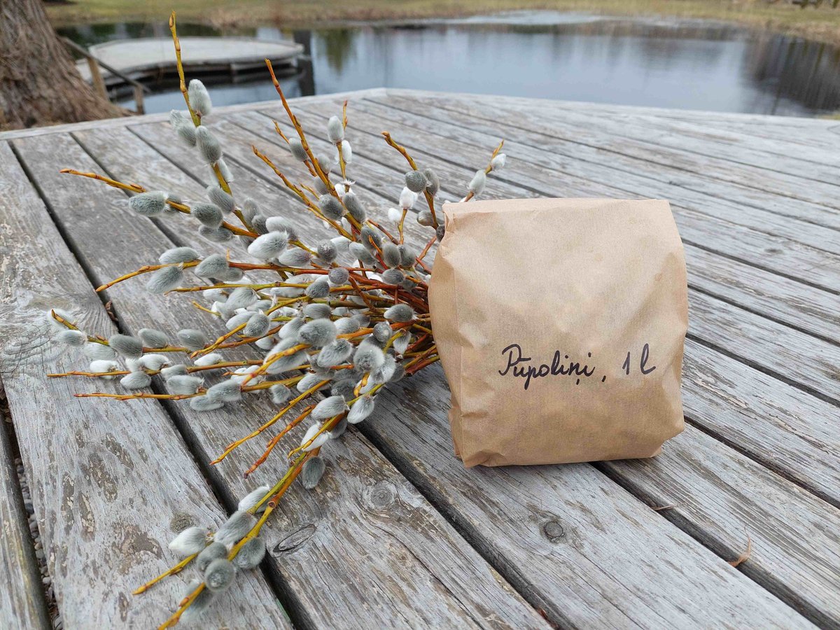 Dimzas's tweet image. Nākam klajā ar jaunumu - pūpoliņi 1 litra turziņā, lai var uzklāt Lieldienu olām mīkstas gultiņas! dimzas.com/product/pupoli…