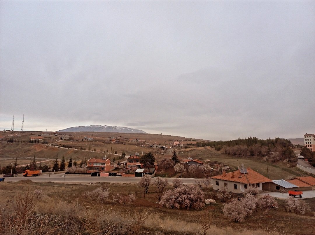 Çalıkuşu sendromu, online👌