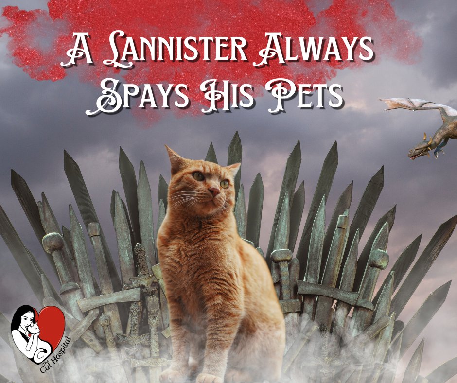 TheCatHospitals's tweet image. A Lannister always spays his pets! Stop dragon your feet &amp;amp; book your cat's spay surgery! There are many benefits to spaying! This is what you need to know about spaying your cat tinyurl.com/yckvasu7
Contact us to schedule an appointment
#catsoftwitter #GameofThrones #Lannister