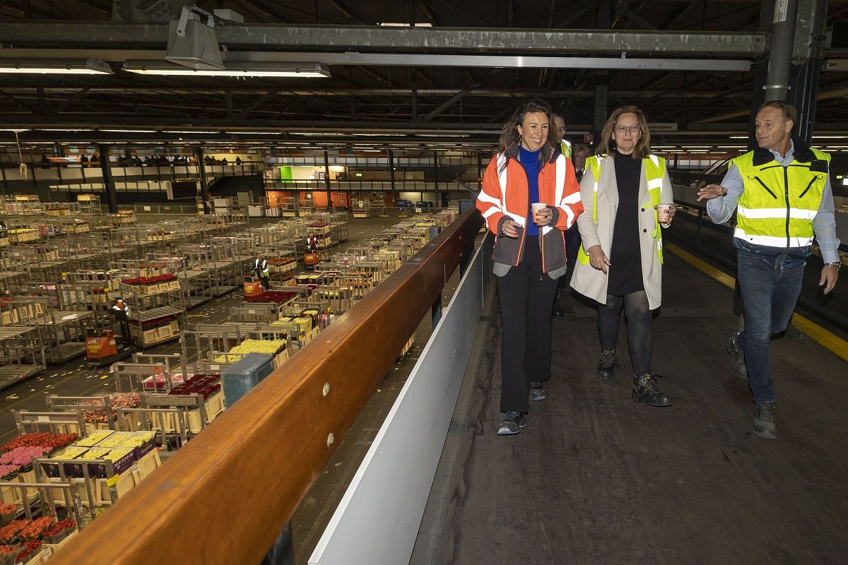 Staatssecretaris Aukje de Vries bezoekt Centrum Weerbare Sierteeltsector dlvr.it/SlJ4FH