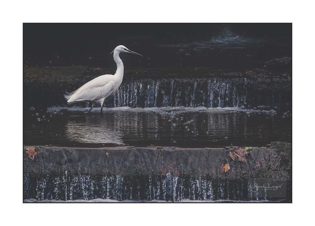 Congratulations to our #FSPrintMonday finalists this week! 🤩

Here are our top 4:

👉️ @RichardFoxPhoto
👉️ <a href="/MiradorDesign/">Sarah Longes 🇺🇦</a>
👉️ <a href="/Mamat151/">Mamat</a>
👉️ <a href="/lucus_hunt/">Lucus Hunt</a>

The winner will be announced later today! 

#photography #competition #fotospeed #bestoftheweek