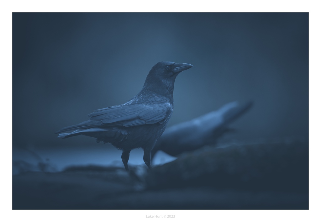 Fotospeed's tweet photo. Congratulations to our #FSPrintMonday finalists this week! 🤩

Here are our top 4:

👉️ @RichardFoxPhoto
👉️ @MiradorDesign
👉️ @Mamat151
👉️ @lucus_hunt

The winner will be announced later today! 

#photography #competition #fotospeed #bestoftheweek https://t.co/i9T6kpsuZD