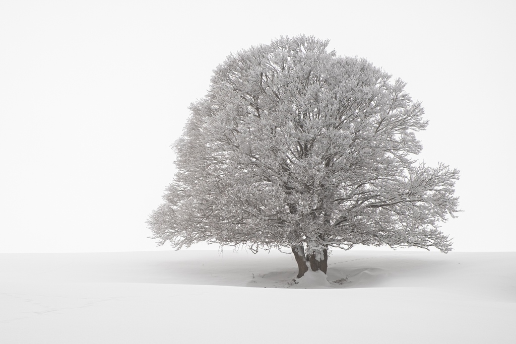 Fotospeed's tweet photo. Congratulations to our #FSPrintMonday finalists this week! 🤩

Here are our top 4:

👉️ @RichardFoxPhoto
👉️ @MiradorDesign
👉️ @Mamat151
👉️ @lucus_hunt

The winner will be announced later today! 

#photography #competition #fotospeed #bestoftheweek https://t.co/i9T6kpsuZD