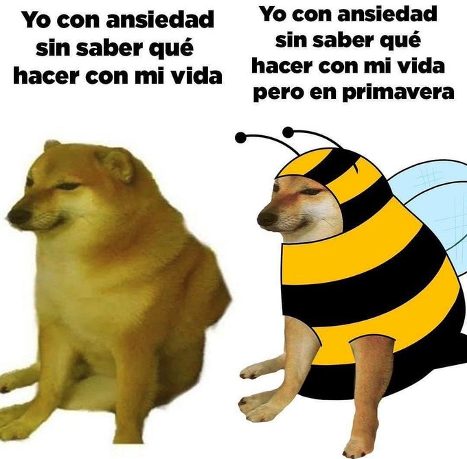 piña sin pizza (@skereunpesado) on Twitter photo 