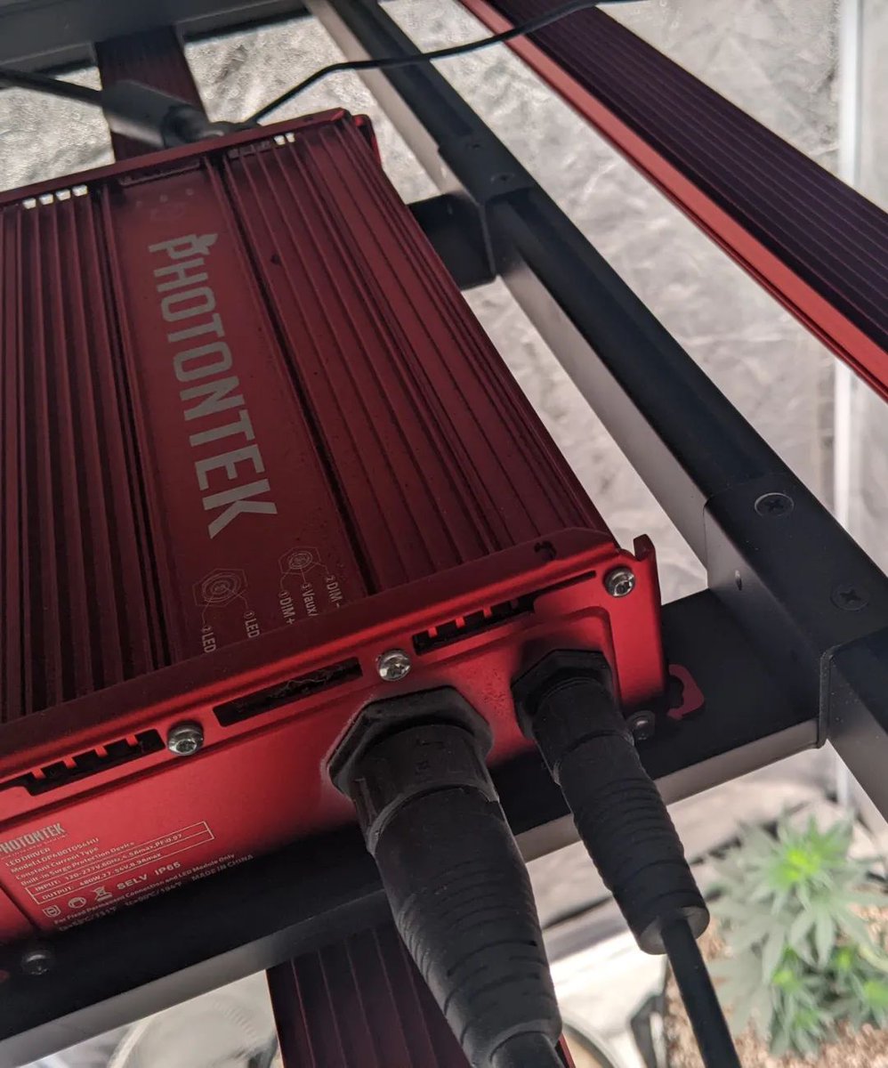 photontek's tweet photo. Day 8 into flower under the #X465. 💡
Shoutout to @leafy_green_grows (1)for growing with #Photontek
🏷️
#BornToGrowBuiltToLast #horticulturallighting #ledgrowlights
#growlights #growyourown #indoorgrowing #indoorfarming
#greenhouse #greenhousefarming https://t.co/Ax1OEzB59U