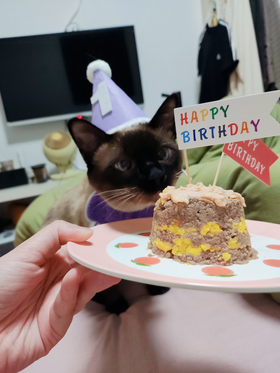 ENNE0411's tweet photo. 🥰一歳になりました！ https://t.co/M2Q6UwXVvE