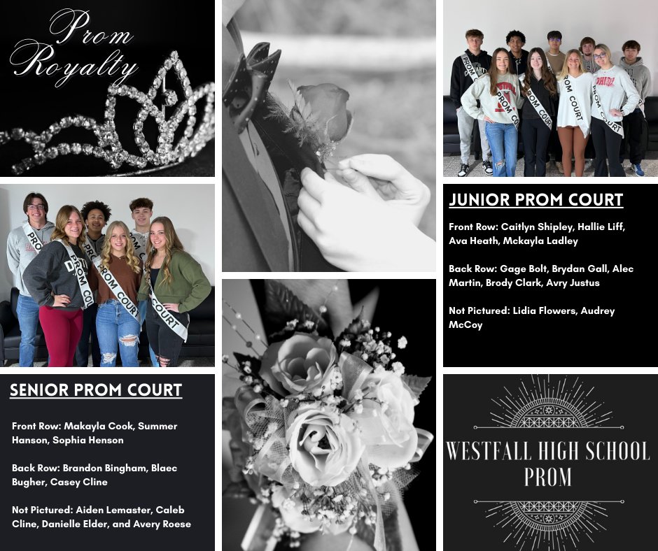 Congratulations to the 2023 Junior/Senior Prom Court!