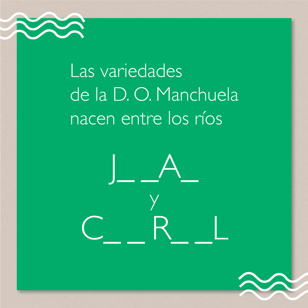 Las exquisitas variedades de la D. O. Manchuela nacen a unas condiciones climáticas perfectas, mecidas por el viento solano y situadas en un paraje inolvidable, entre los ríos... ⛰️ J__A_ y C__R_L ¿Sabrías decirnos cómo se llaman en comentarios ? 🍇 #manchuelado #vinodeinfluencia
