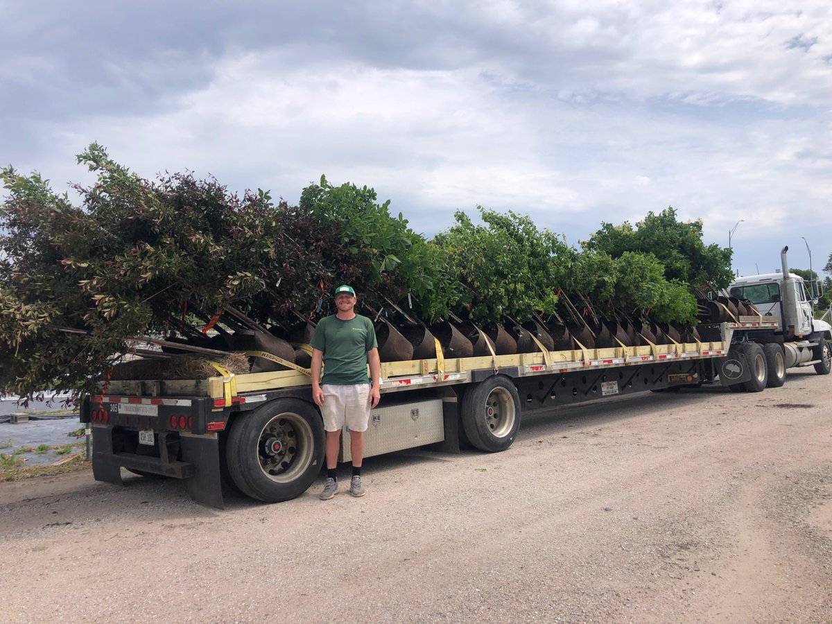 RootPouch's tweet image. Shipping with Root Pouch has its perks! Compared to plastic pots, Root Pouch’s fabric keeps roots more temperate during transit and eliminates the need for cardboard and paper trunk protection. The kicker: load up to 15% more per truckload than the same size plastic.