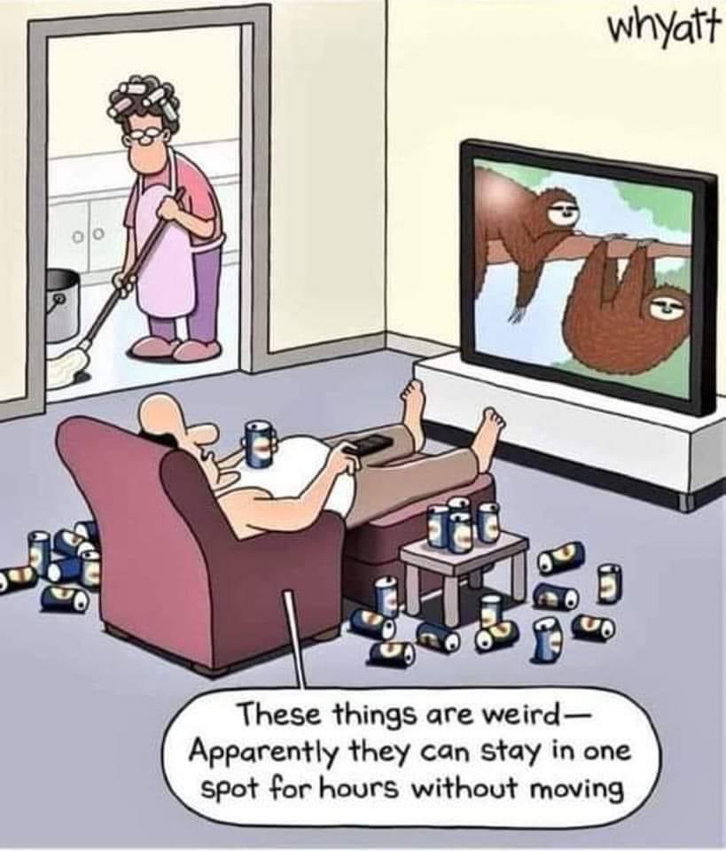 Matthew Bowie tweet media