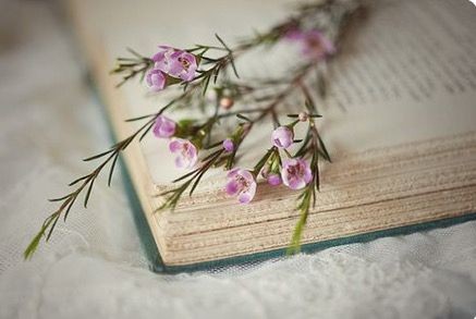 말이
부드러운 자는

​다툴자가 없고

마음이
넓은 자는

배척하는 자가 없고

행동이
바른 자는

미워하는 자가 없다

됨돔이가 된 사람은
어디서나 대접을 받는다.🖊

-지나간다 다지나간다1.2-