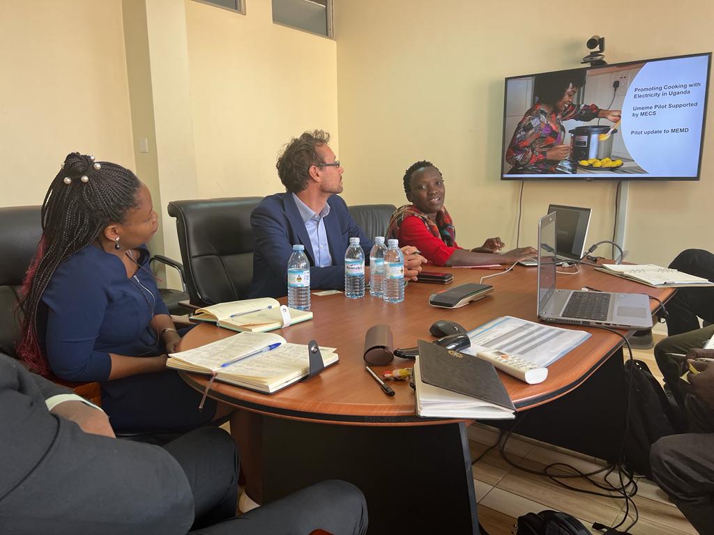 Brian E. Isabirye, Ph.D. tweet media