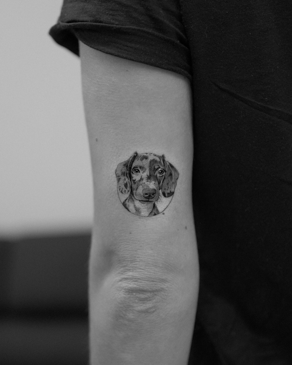 mcarrerastattoo's tweet photo. Hola! Soy Maxi Carreras. Tatuador Argentino, de Rosario. Me dedico a lo que es Microrealismo 

Soy nuevo en Twitter y me ayudarían mucho con un simple RT para que más personas vean mi trabajo

Muchas gracias ❤️ https://t.co/Mu9XcTKAky
