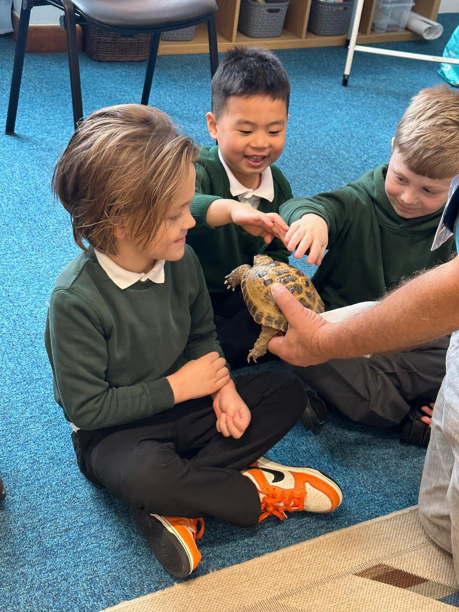 Greenacres tweet media