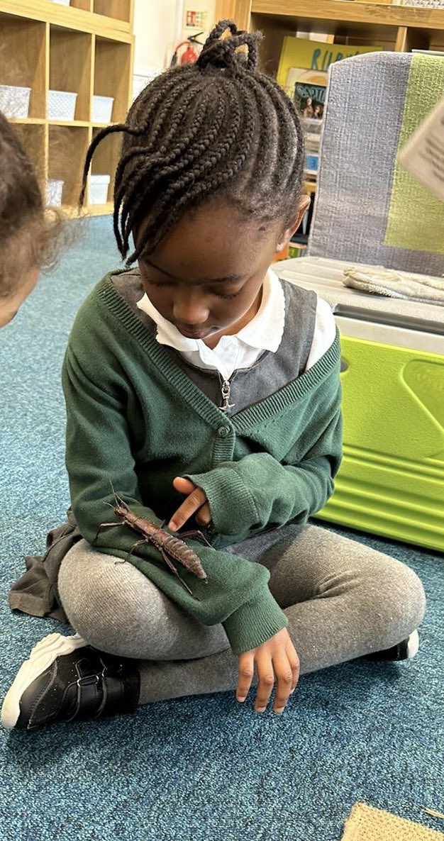 Greenacres tweet media