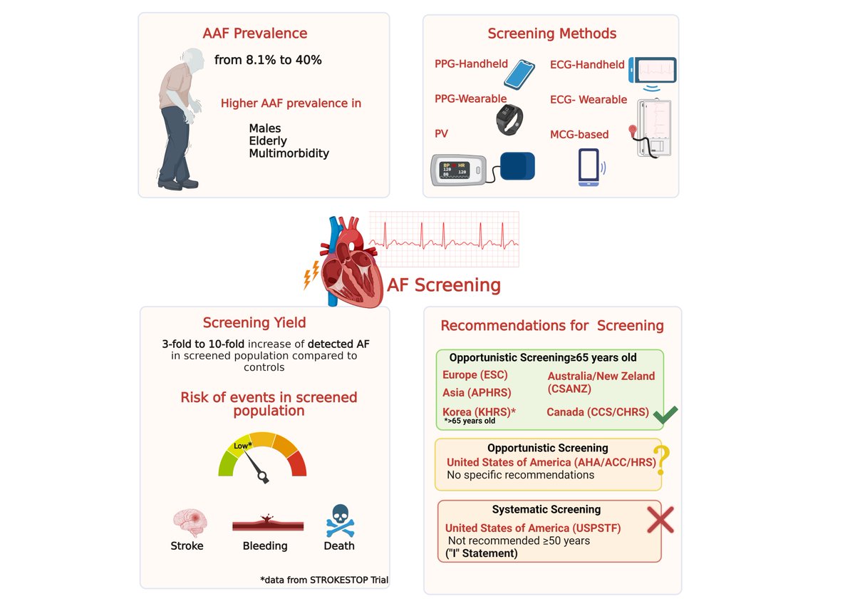 Our comprehensive review on the Screening for AF is finally published on European Heart Journal Open! 🫀 ➡️doi.org/10.1093/ehjope…