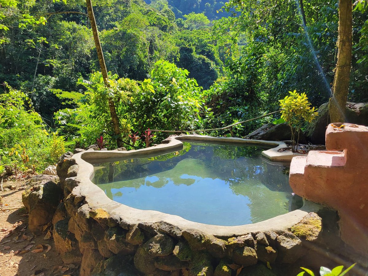 HotSprLodgeCR's tweet photo. Escape to the primary rainforest -Breathtaking https://t.co/fxmX3Qga8F
Fall in love with waterfalls and natural Hot Springs while enjoying your stay https://t.co/9uDcPvDcbH