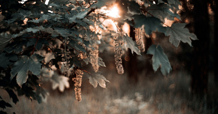 Hello everyone! this week we have double!
Presave #MarcoHiko - Nowhere Path: kycker.ffm.to/nowherepath
Presave @todektunes  - Maple: kycker.ffm.to/maple
Both come out on the 24th!