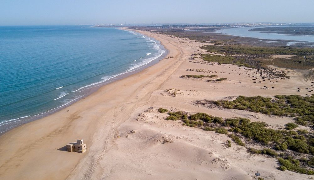 sanfernandismo's tweet image. Sobrevolando el paraíso
#SanFernando #Camposoto