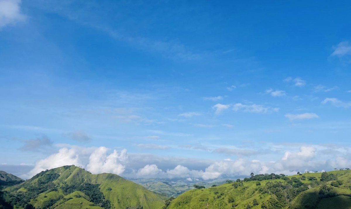 DeicyC✍️ tweet media