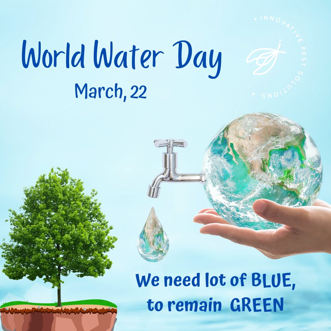 InnovativePest_'s tweet photo. Happy world water day! 
Show you care by saving water by: 
-Turning the tap off while you brush your teeth
-Take shorter showers instead of baths
-Check taps for leaks
Comment a way you save water! 
#YYC #YYCPestcontrol #calgaryliving #yycbuzz #yyctoday #worldwaterday #savewater https://t.co/ETY18dR0UU