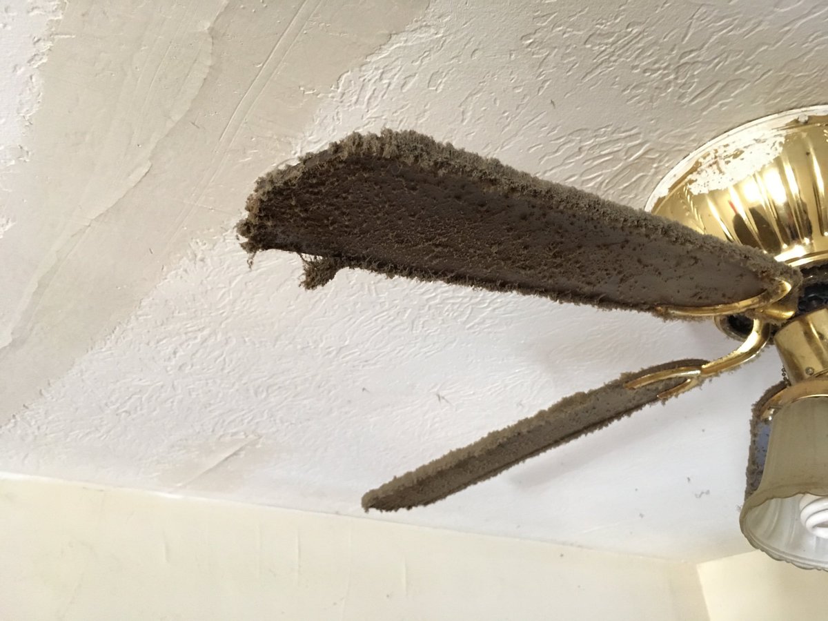 Peter Lohmann tweet media