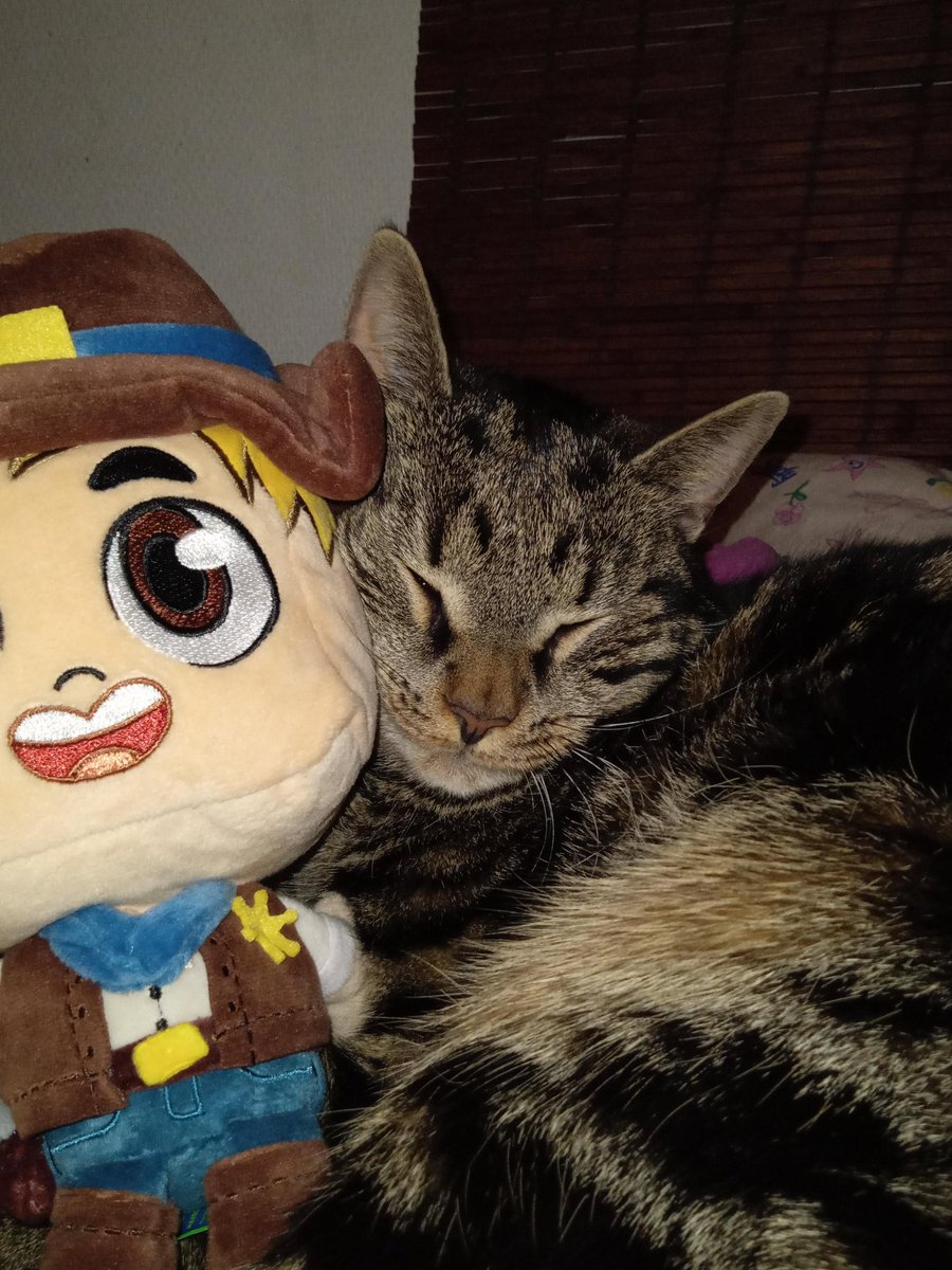 Allynxt_'s tweet photo. @SolidarityCoUK You two get along well https://t.co/pMzxLr4OwS