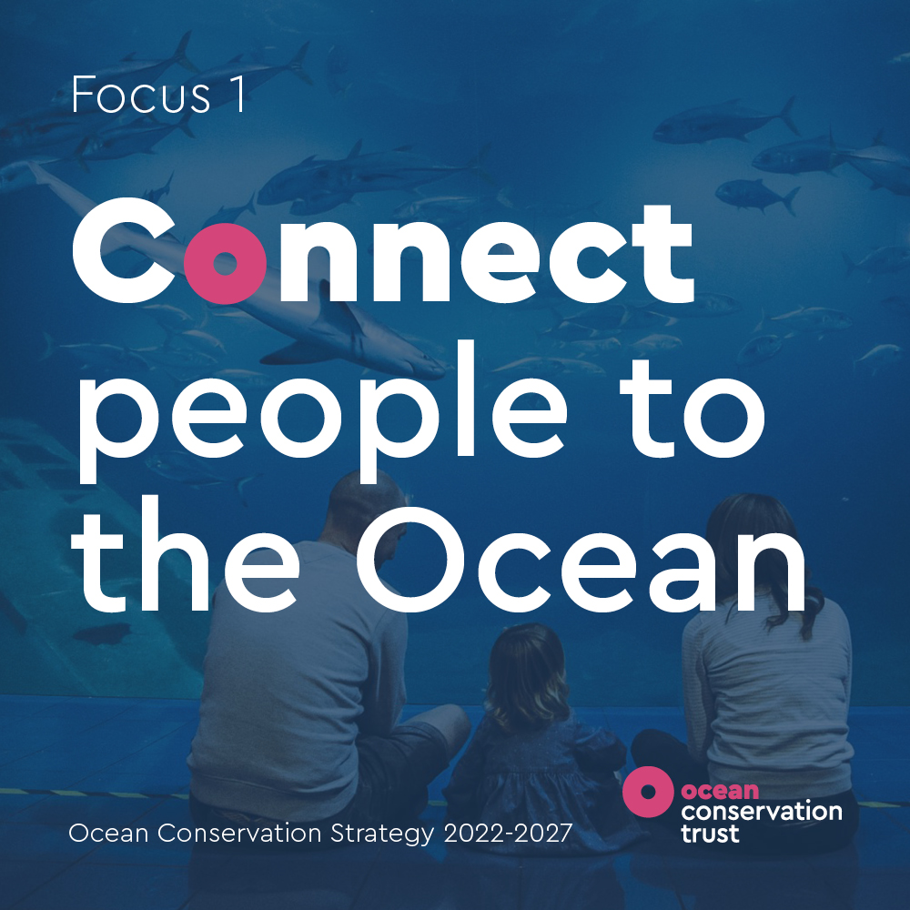 OceanCTrust tweet picture